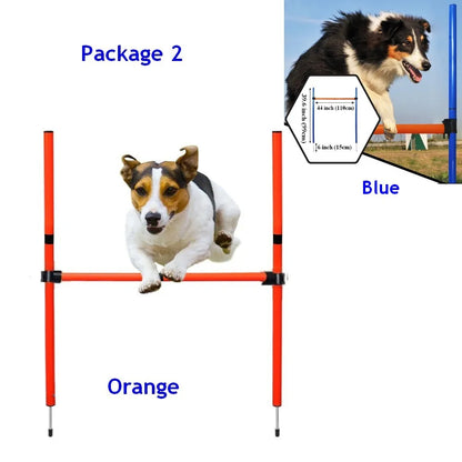 Interaktives Hundespielzeug – Aktives Spielen & Training