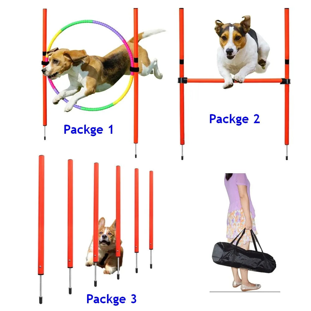 Interactief Hondenspeelgoed – Actief Spelen & Trainen 🐶🐾