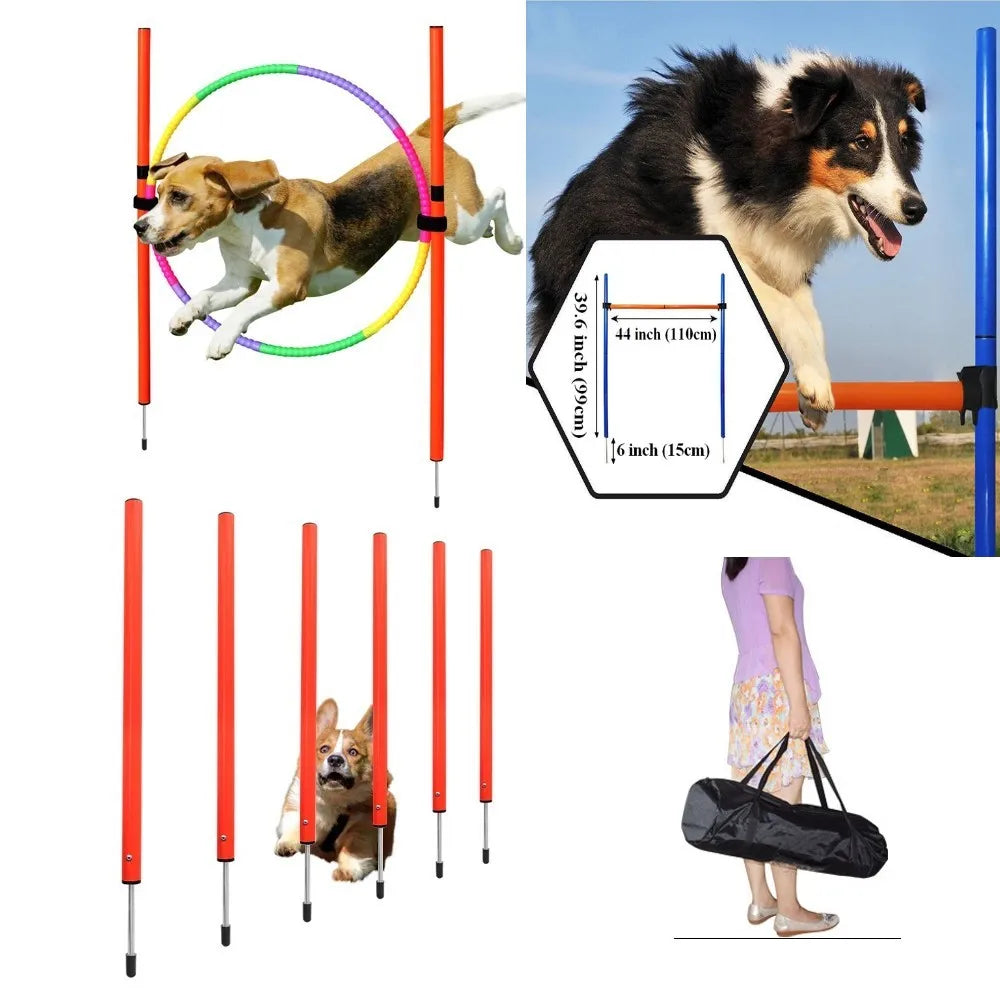 Interactief Hondenspeelgoed – Actief Spelen & Trainen 🐶🐾